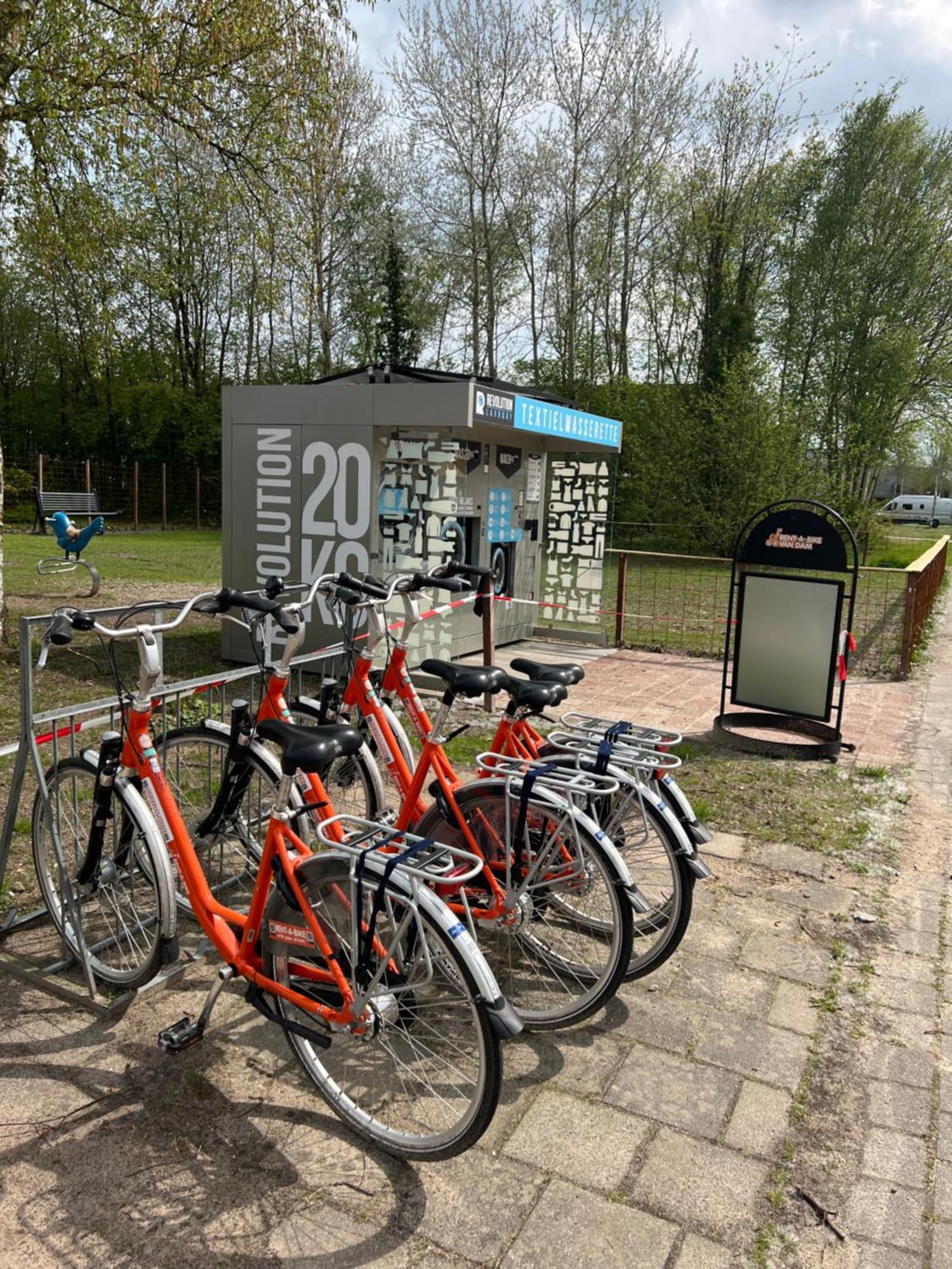 Chalet Quattro In Bosrijke Omgeving Anloo Exterior foto